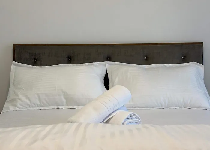 Joy Mangalia 5 * Тімішоара