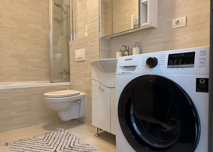 Joy Mangalia 5 * Timişoara